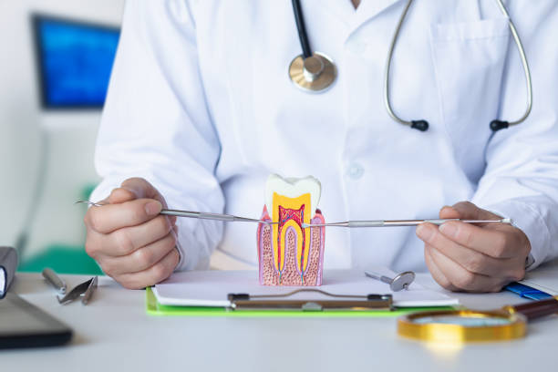 Best Emergency Orthodontic Repairs in Harleigh, PA